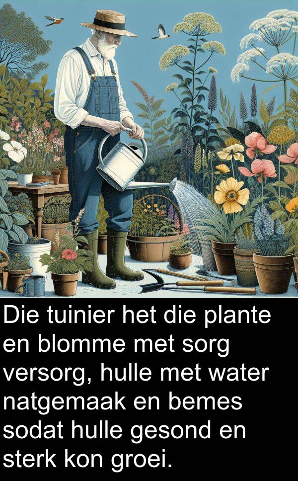 tuinier: Die tuinier het die plante en blomme met sorg versorg, hulle met water natgemaak en bemes sodat hulle gesond en sterk kon groei.