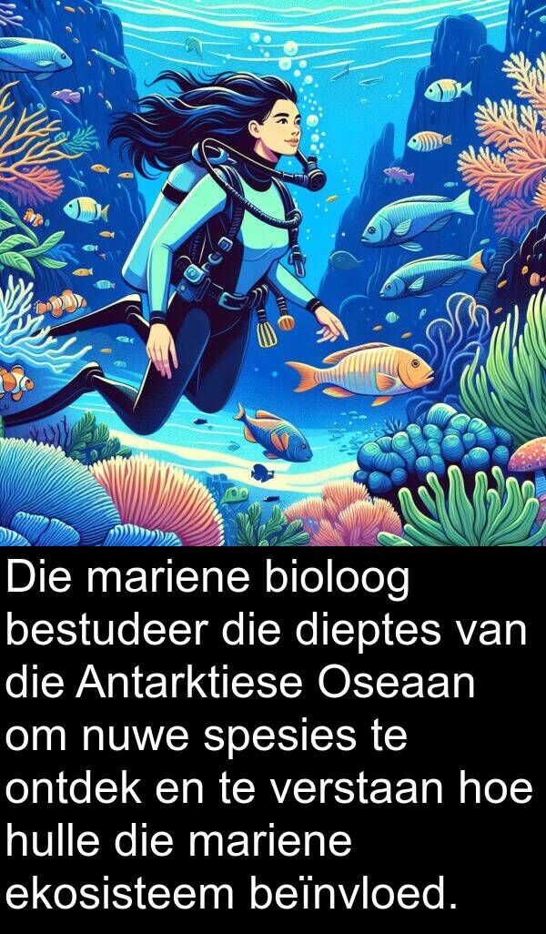 beïnvloed: Die mariene bioloog bestudeer die dieptes van die Antarktiese Oseaan om nuwe spesies te ontdek en te verstaan hoe hulle die mariene ekosisteem beïnvloed.