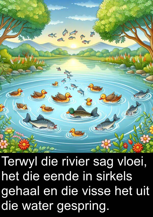 gehaal: Terwyl die rivier sag vloei, het die eende in sirkels gehaal en die visse het uit die water gespring.