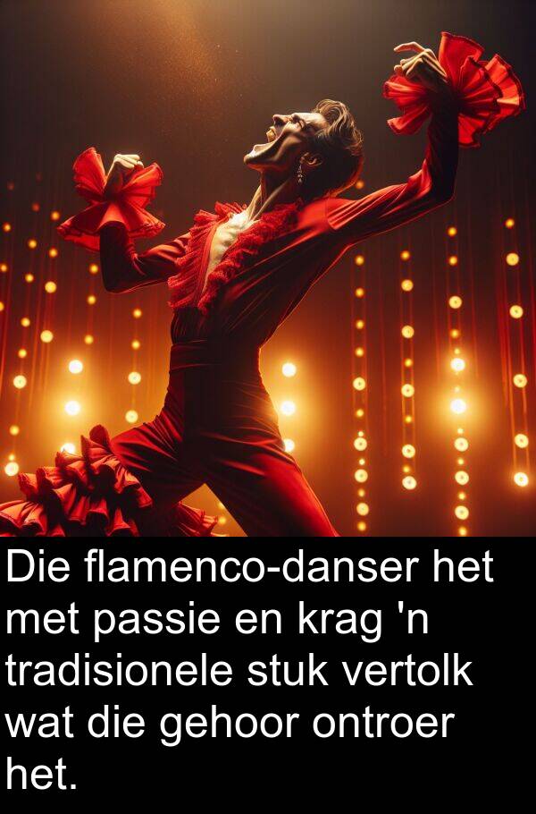 gehoor: Die flamenco-danser het met passie en krag 'n tradisionele stuk vertolk wat die gehoor ontroer het.