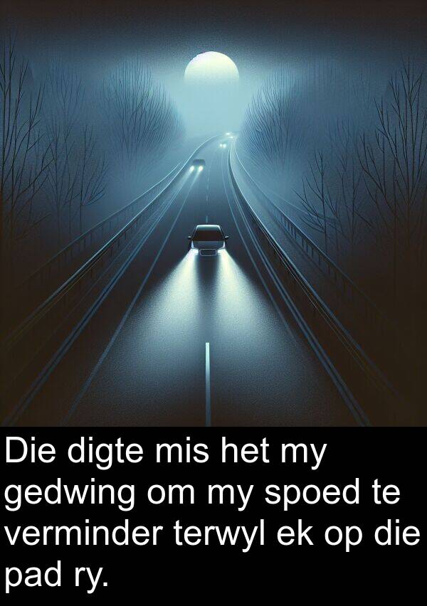 terwyl: Die digte mis het my gedwing om my spoed te verminder terwyl ek op die pad ry.