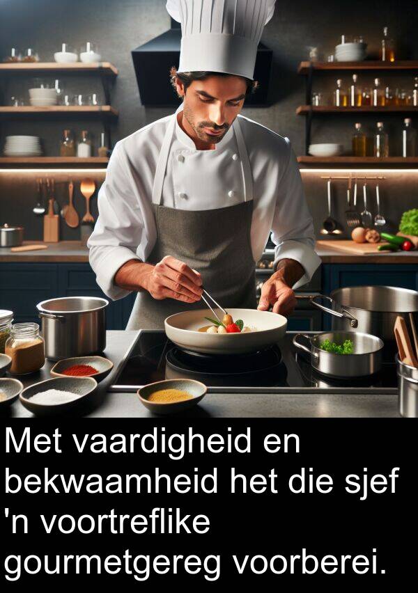 bekwaamheid: Met vaardigheid en bekwaamheid het die sjef 'n voortreflike gourmetgereg voorberei.