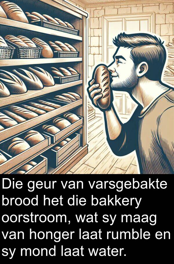 bakkery: Die geur van varsgebakte brood het die bakkery oorstroom, wat sy maag van honger laat rumble en sy mond laat water.