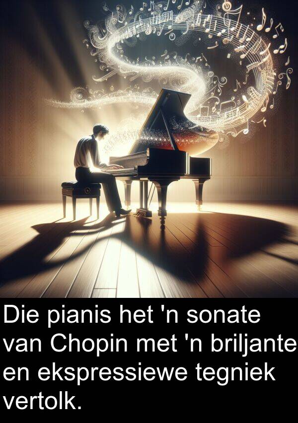 pianis: Die pianis het 'n sonate van Chopin met 'n briljante en ekspressiewe tegniek vertolk.