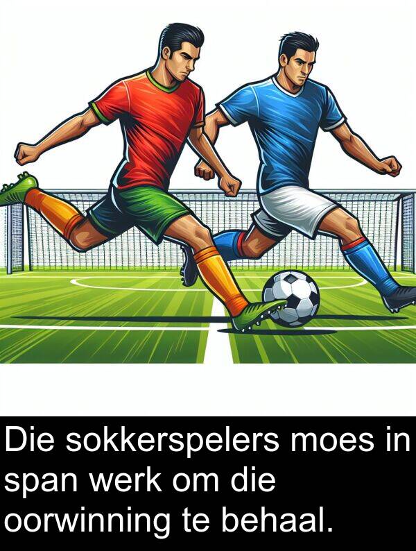 behaal: Die sokkerspelers moes in span werk om die oorwinning te behaal.