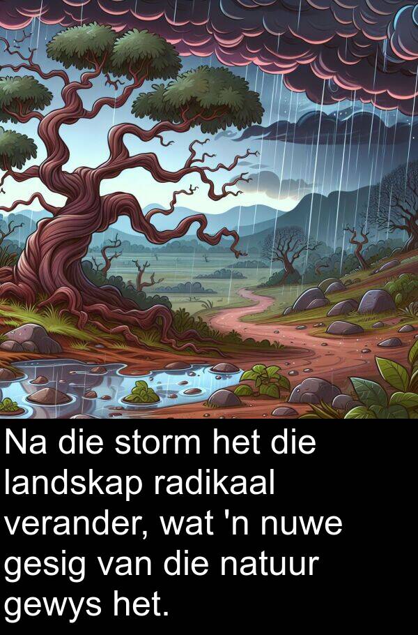 natuur: Na die storm het die landskap radikaal verander, wat 'n nuwe gesig van die natuur gewys het.