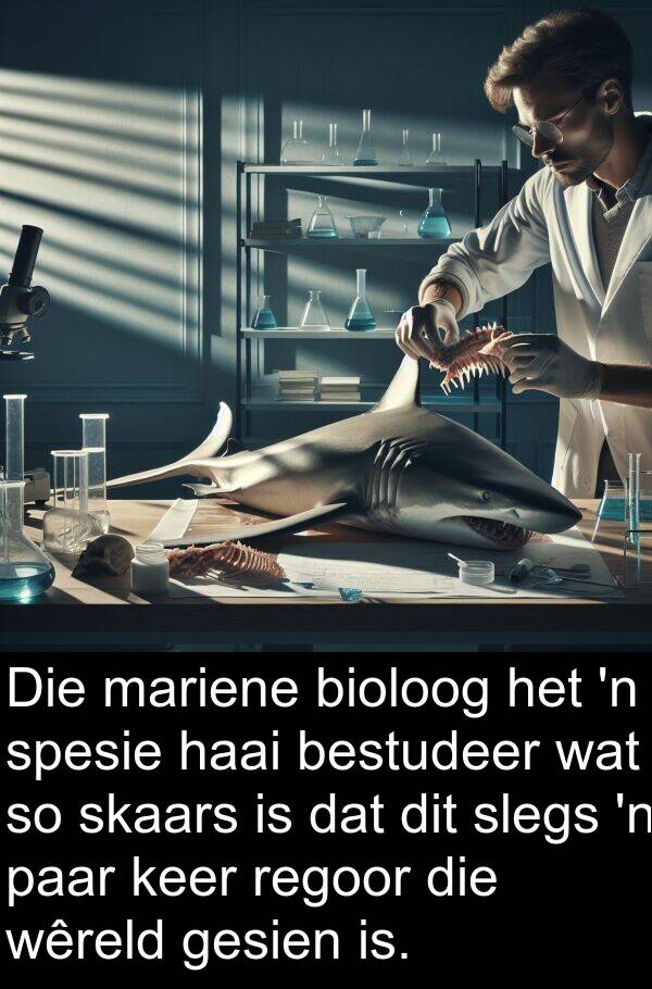 paar: Die mariene bioloog het 'n spesie haai bestudeer wat so skaars is dat dit slegs 'n paar keer regoor die wêreld gesien is.