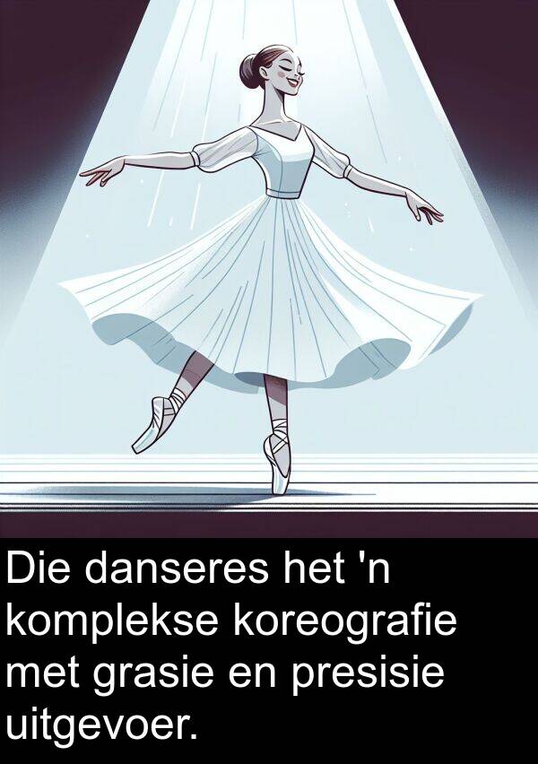 presisie: Die danseres het 'n komplekse koreografie met grasie en presisie uitgevoer.