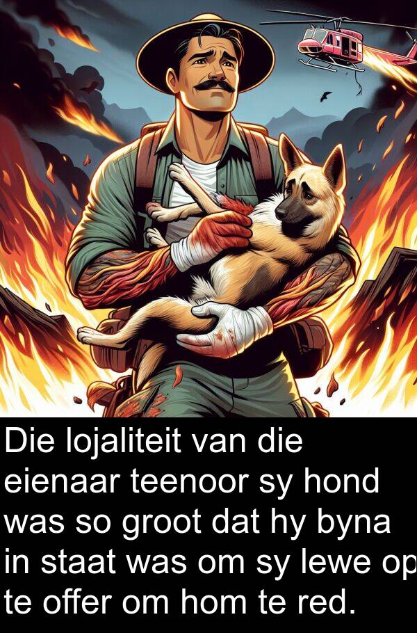 teenoor: Die lojaliteit van die eienaar teenoor sy hond was so groot dat hy byna in staat was om sy lewe op te offer om hom te red.