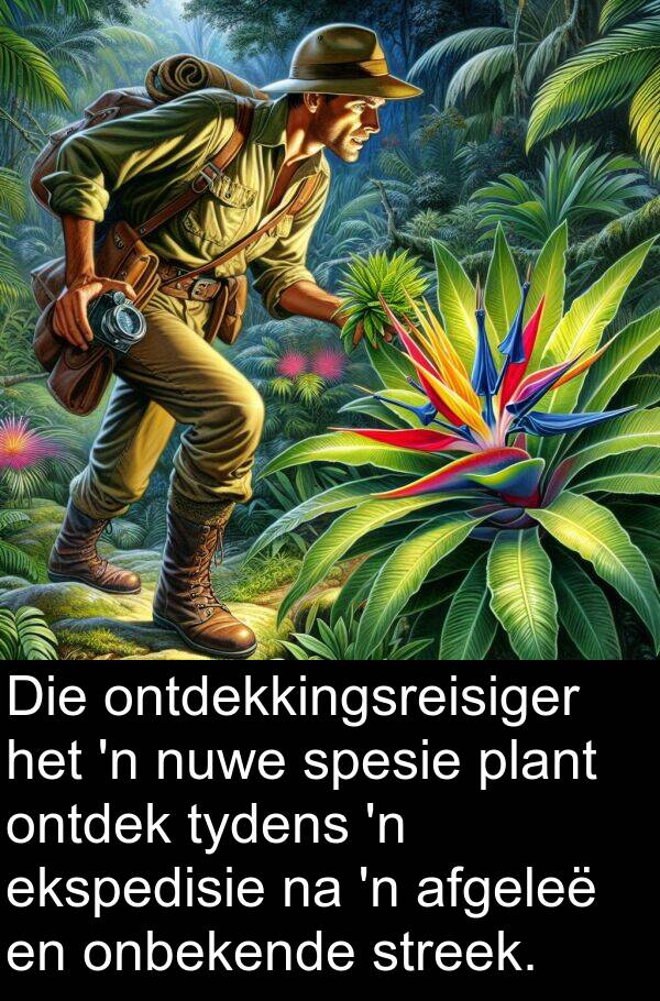 plant: Die ontdekkingsreisiger het 'n nuwe spesie plant ontdek tydens 'n ekspedisie na 'n afgeleë en onbekende streek.