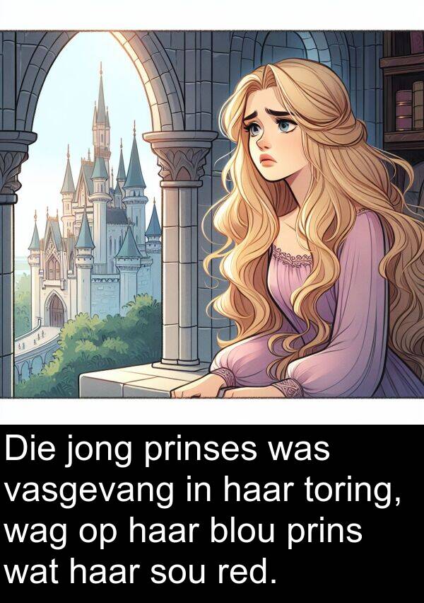 prinses: Die jong prinses was vasgevang in haar toring, wag op haar blou prins wat haar sou red.