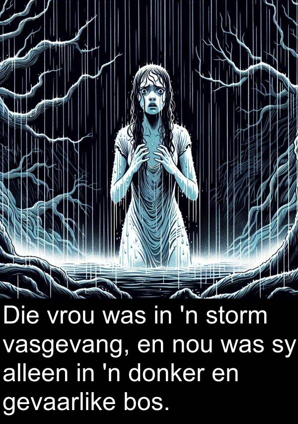 nou: Die vrou was in 'n storm vasgevang, en nou was sy alleen in 'n donker en gevaarlike bos.