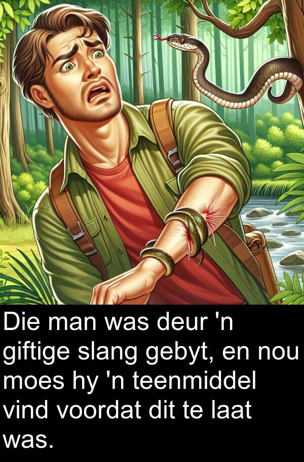 gebyt: Die man was deur 'n giftige slang gebyt, en nou moes hy 'n teenmiddel vind voordat dit te laat was.