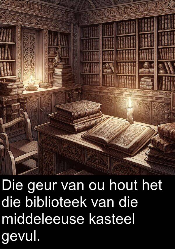 hout: Die geur van ou hout het die biblioteek van die middeleeuse kasteel gevul.