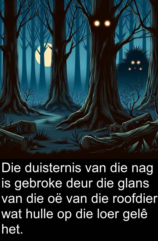 gelê: Die duisternis van die nag is gebroke deur die glans van die oë van die roofdier wat hulle op die loer gelê het.