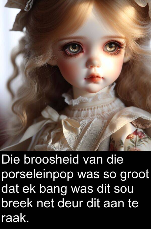 bang: Die broosheid van die porseleinpop was so groot dat ek bang was dit sou breek net deur dit aan te raak.