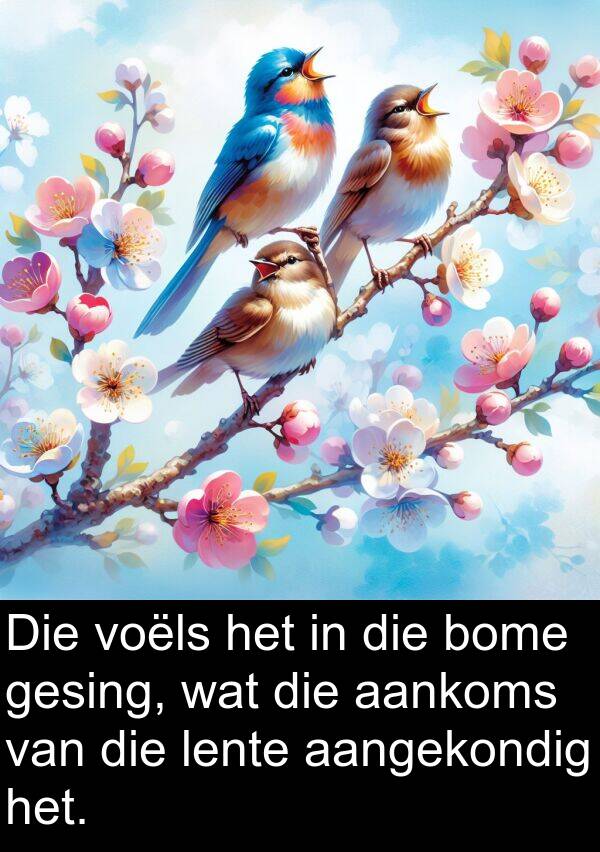 lente: Die voëls het in die bome gesing, wat die aankoms van die lente aangekondig het.