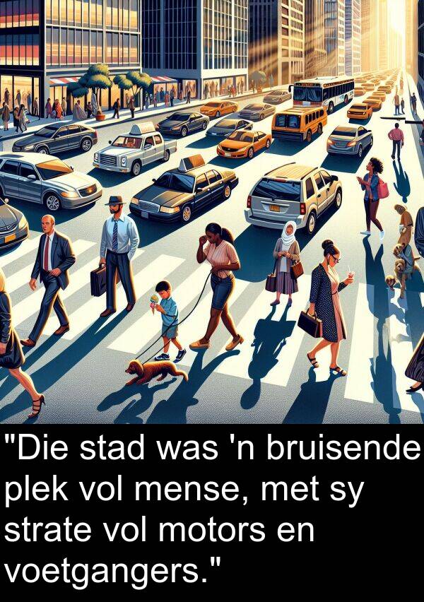 plek: "Die stad was 'n bruisende plek vol mense, met sy strate vol motors en voetgangers."