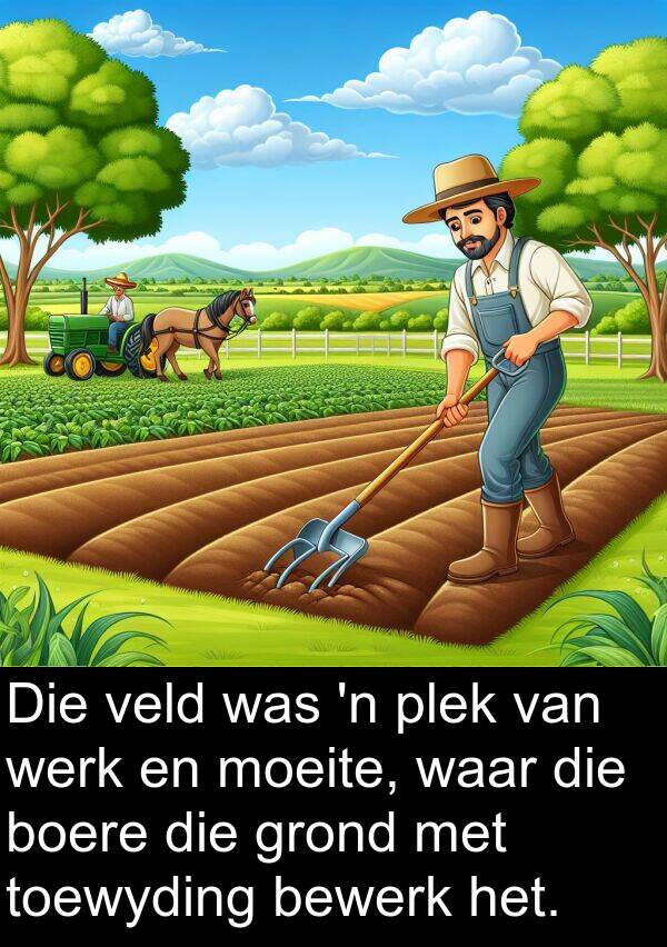 toewyding: Die veld was 'n plek van werk en moeite, waar die boere die grond met toewyding bewerk het.