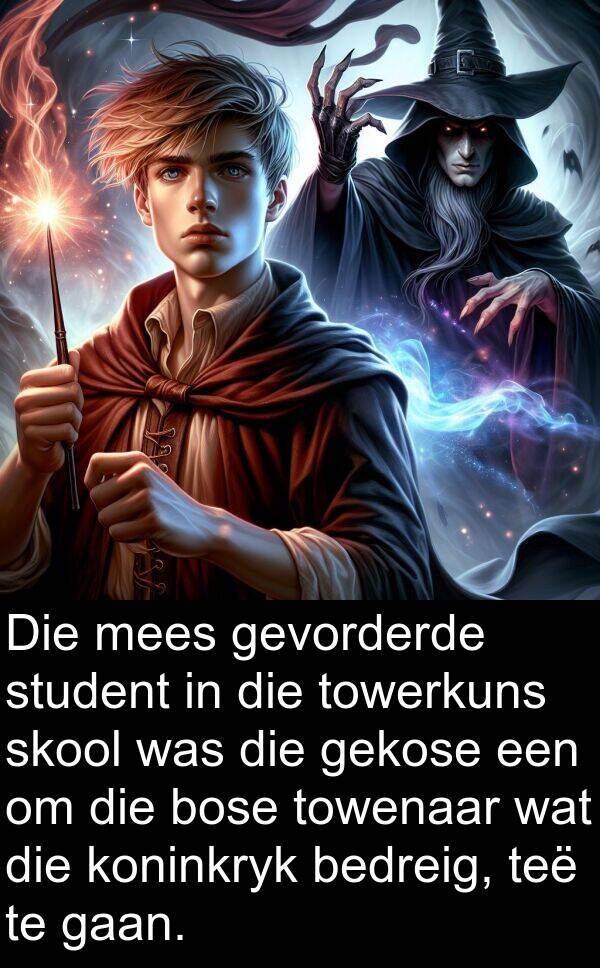 towerkuns: Die mees gevorderde student in die towerkuns skool was die gekose een om die bose towenaar wat die koninkryk bedreig, teë te gaan.