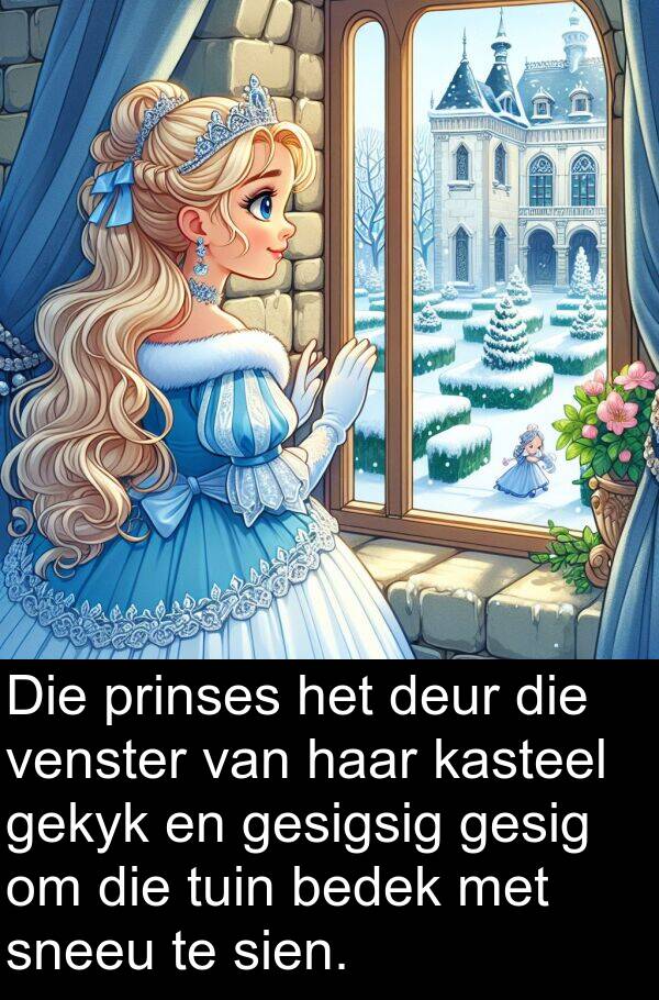 prinses: Die prinses het deur die venster van haar kasteel gekyk en gesigsig gesig om die tuin bedek met sneeu te sien.