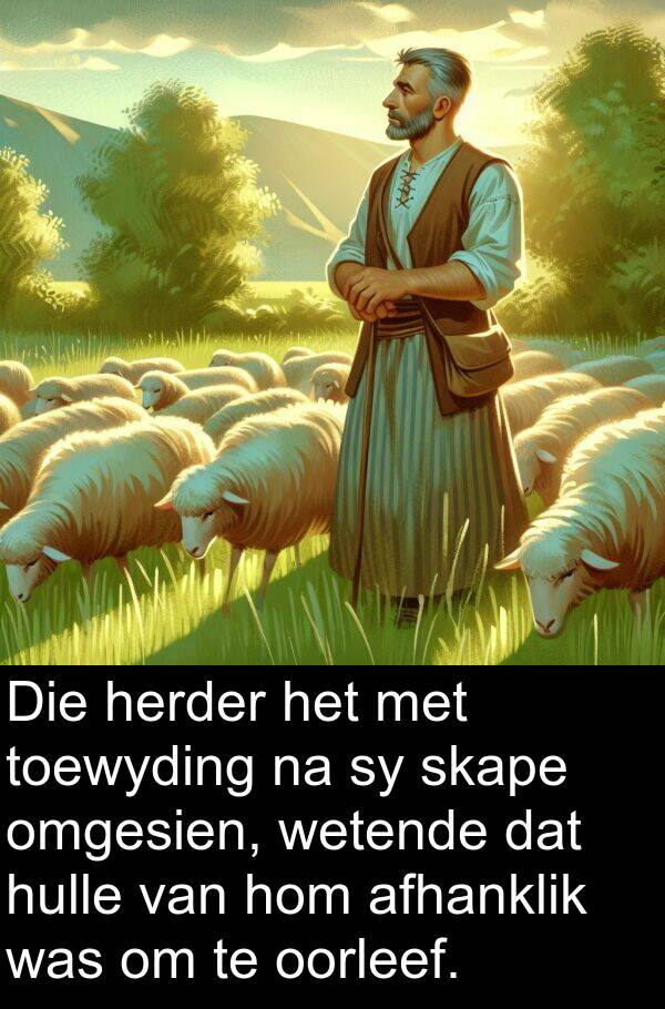 herder: Die herder het met toewyding na sy skape omgesien, wetende dat hulle van hom afhanklik was om te oorleef.