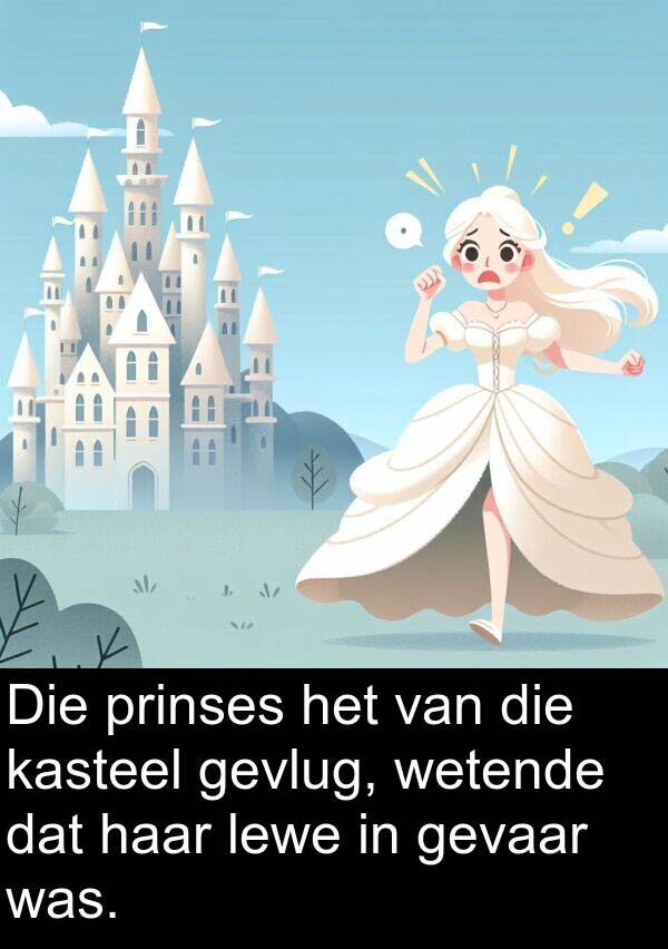 prinses: Die prinses het van die kasteel gevlug, wetende dat haar lewe in gevaar was.