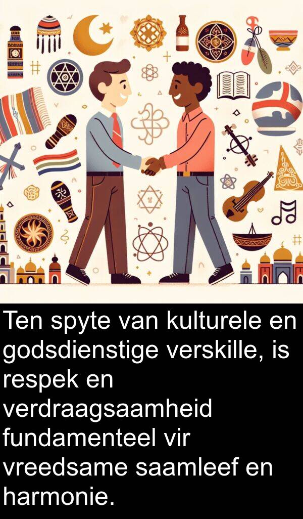 fundamenteel: Ten spyte van kulturele en godsdienstige verskille, is respek en verdraagsaamheid fundamenteel vir vreedsame saamleef en harmonie.