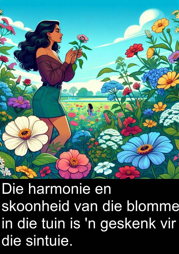 harmonie: Die harmonie en skoonheid van die blomme in die tuin is 'n geskenk vir die sintuie.