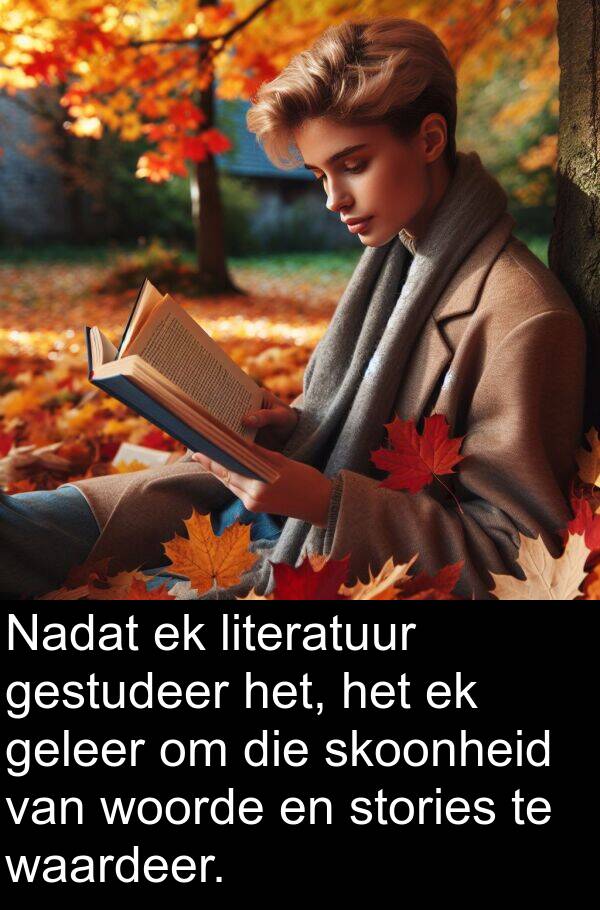 geleer: Nadat ek literatuur gestudeer het, het ek geleer om die skoonheid van woorde en stories te waardeer.