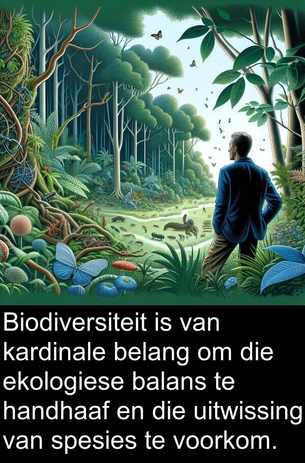 belang: Biodiversiteit is van kardinale belang om die ekologiese balans te handhaaf en die uitwissing van spesies te voorkom.