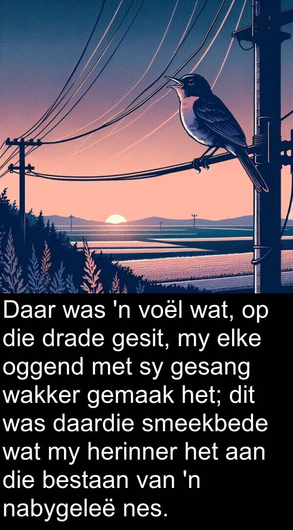 bestaan: Daar was 'n voël wat, op die drade gesit, my elke oggend met sy gesang wakker gemaak het; dit was daardie smeekbede wat my herinner het aan die bestaan van 'n nabygeleë nes.