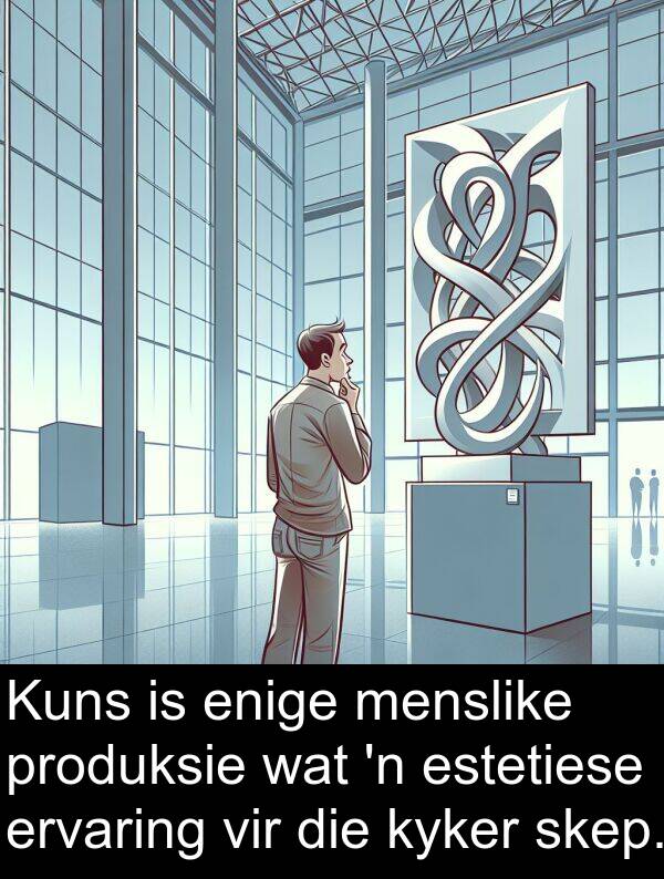 produksie: Kuns is enige menslike produksie wat 'n estetiese ervaring vir die kyker skep.