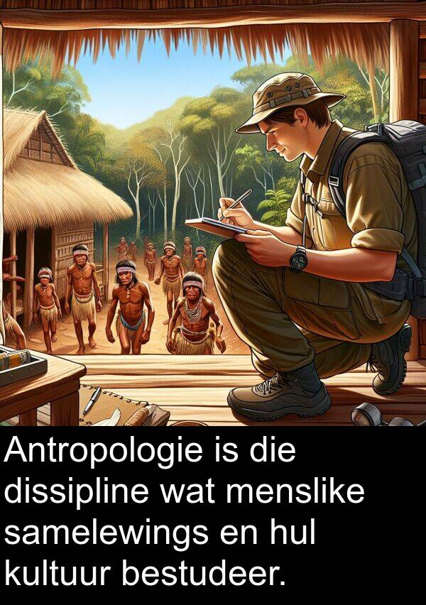 bestudeer: Antropologie is die dissipline wat menslike samelewings en hul kultuur bestudeer.