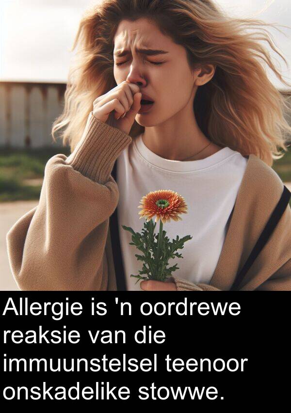 teenoor: Allergie is 'n oordrewe reaksie van die immuunstelsel teenoor onskadelike stowwe.