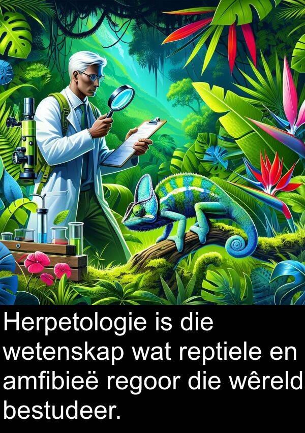 bestudeer: Herpetologie is die wetenskap wat reptiele en amfibieë regoor die wêreld bestudeer.