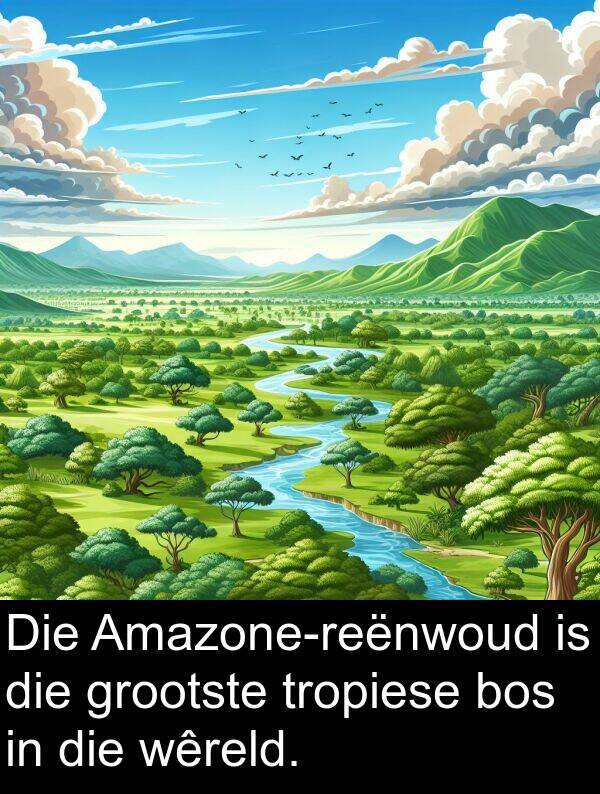 tropiese: Die Amazone-reënwoud is die grootste tropiese bos in die wêreld.