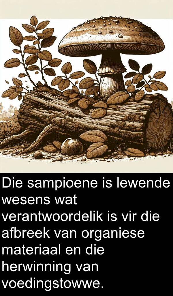 herwinning: Die sampioene is lewende wesens wat verantwoordelik is vir die afbreek van organiese materiaal en die herwinning van voedingstowwe.