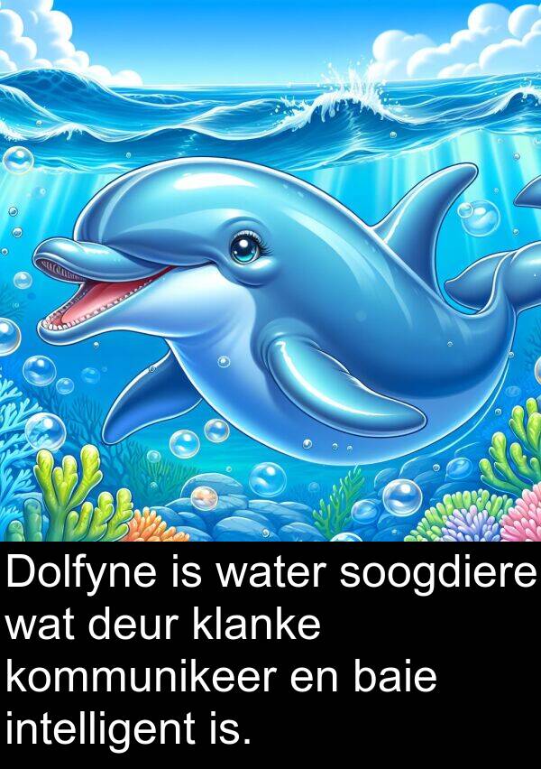 kommunikeer: Dolfyne is water soogdiere wat deur klanke kommunikeer en baie intelligent is.