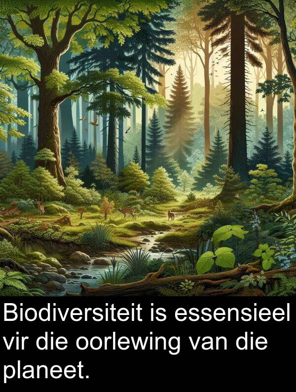 planeet: Biodiversiteit is essensieel vir die oorlewing van die planeet.