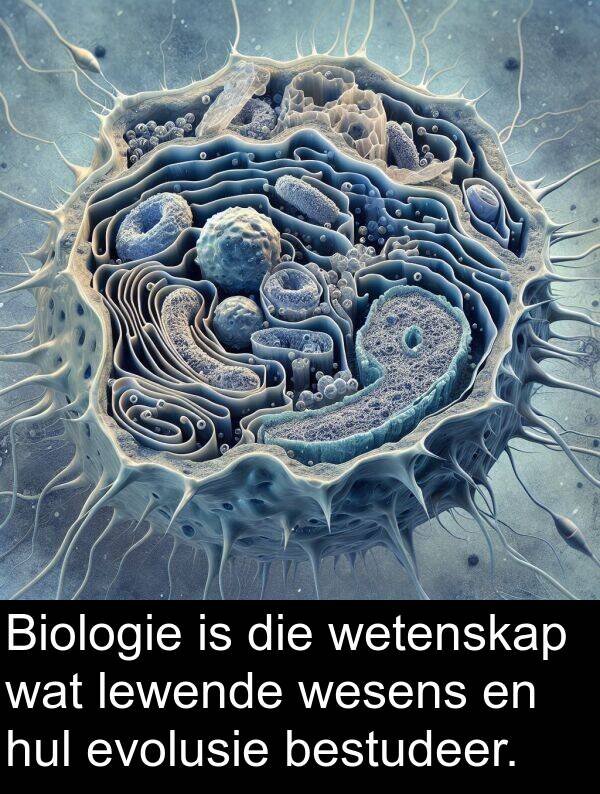 bestudeer: Biologie is die wetenskap wat lewende wesens en hul evolusie bestudeer.