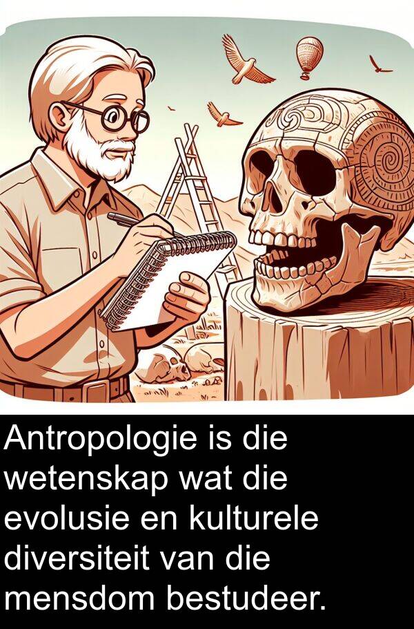 evolusie: Antropologie is die wetenskap wat die evolusie en kulturele diversiteit van die mensdom bestudeer.