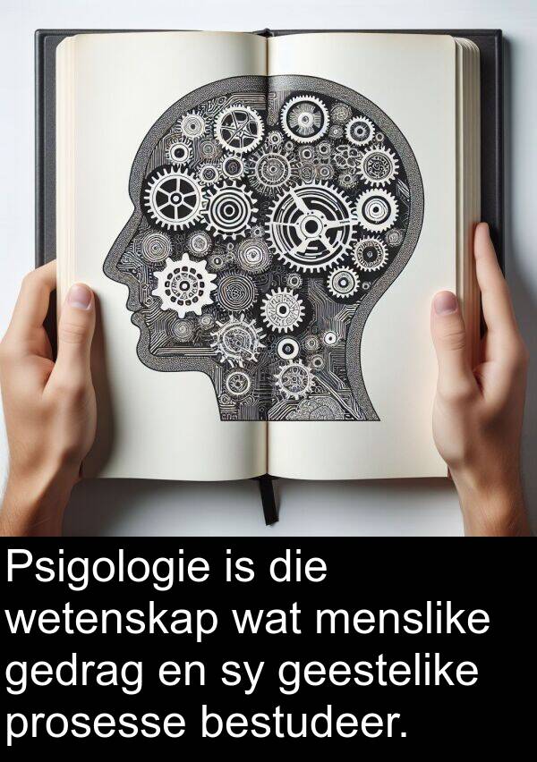 gedrag: Psigologie is die wetenskap wat menslike gedrag en sy geestelike prosesse bestudeer.