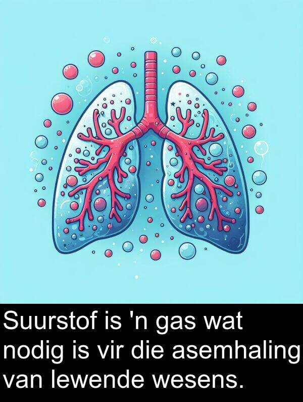 nodig: Suurstof is 'n gas wat nodig is vir die asemhaling van lewende wesens.