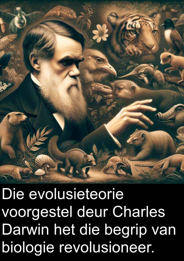 begrip: Die evolusieteorie voorgestel deur Charles Darwin het die begrip van biologie revolusioneer.