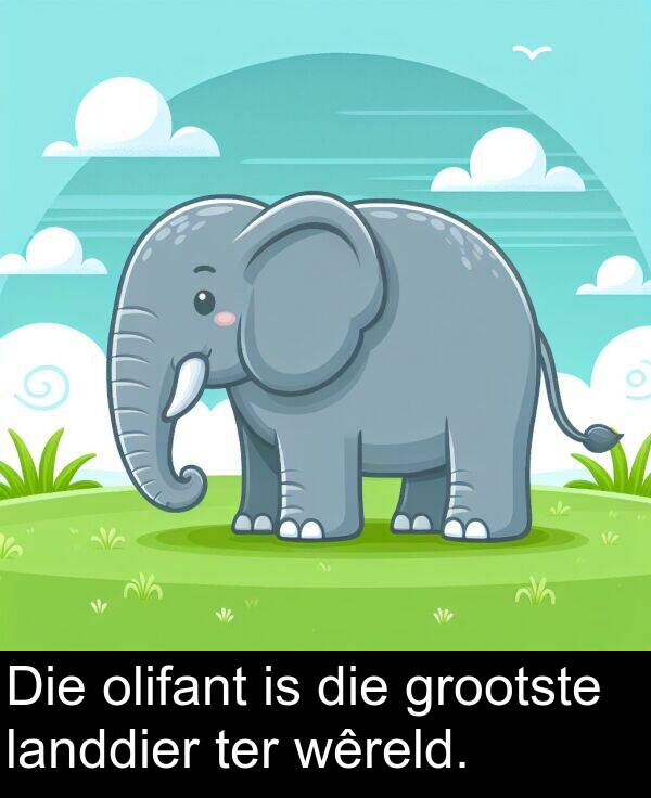 ter: Die olifant is die grootste landdier ter wêreld.