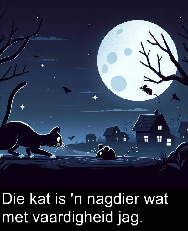 nagdier: Die kat is 'n nagdier wat met vaardigheid jag.