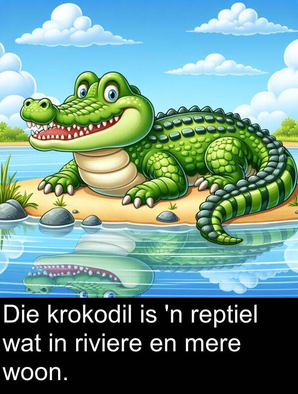 woon: Die krokodil is 'n reptiel wat in riviere en mere woon.