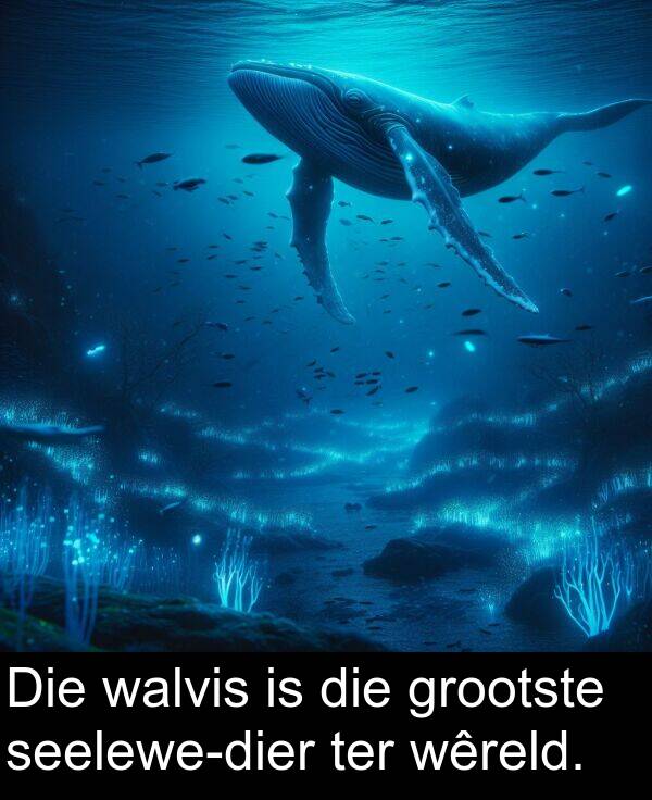 ter: Die walvis is die grootste seelewe-dier ter wêreld.