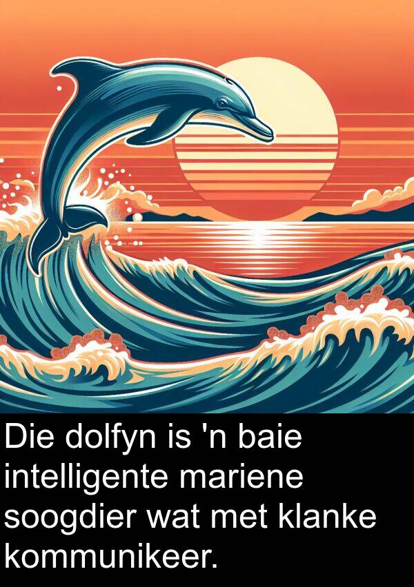 kommunikeer: Die dolfyn is 'n baie intelligente mariene soogdier wat met klanke kommunikeer.